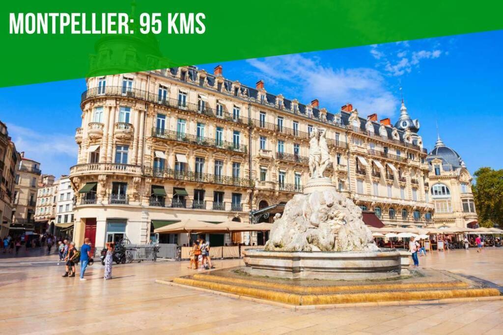 Le Toucan - 100m Palais Et Pont